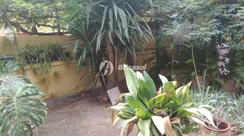 Photo 2 of House or chalet for sale in Montbrió del Camp, Tarragona