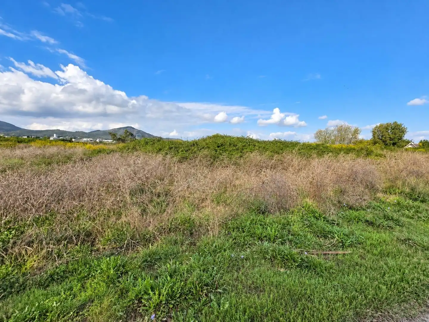 Rural land for sale in Polígono Sèquia de la Figuerola Dreta, imagen 25