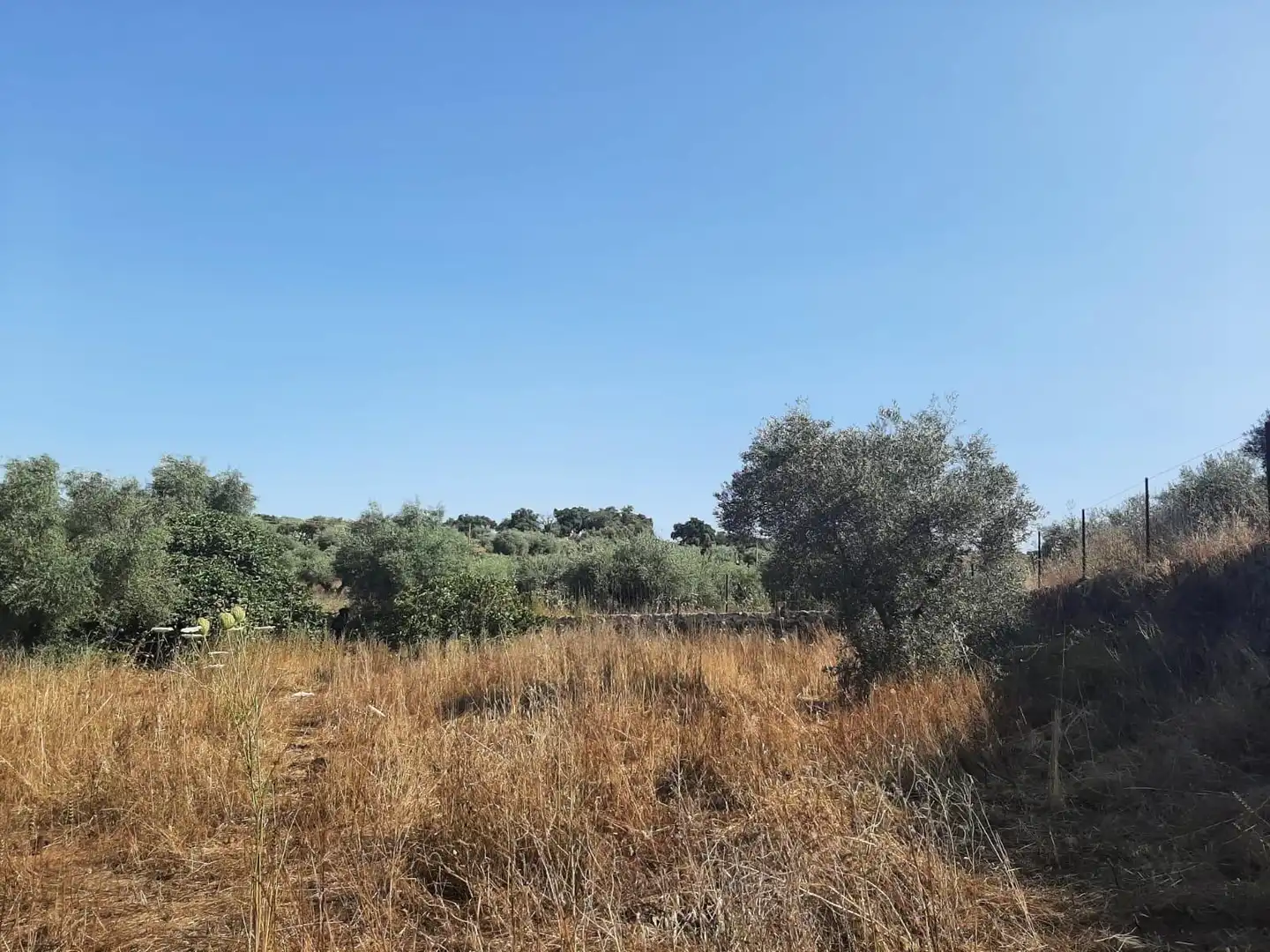 Terreni e lotti in vendita a Casas de Don Antonio, imagen 10