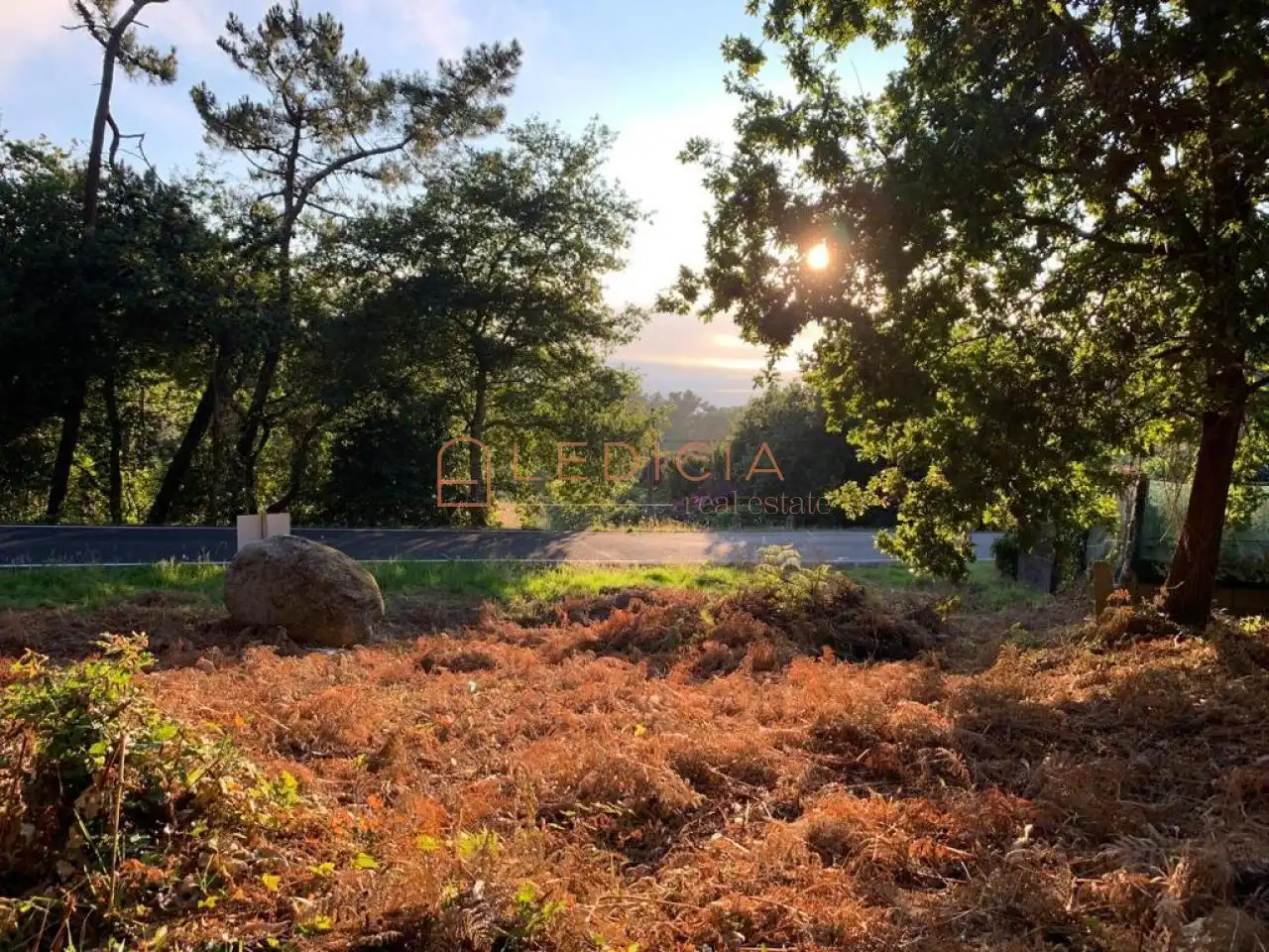Terreno rustico in vendita a Lugar Montemogos, imagen 2