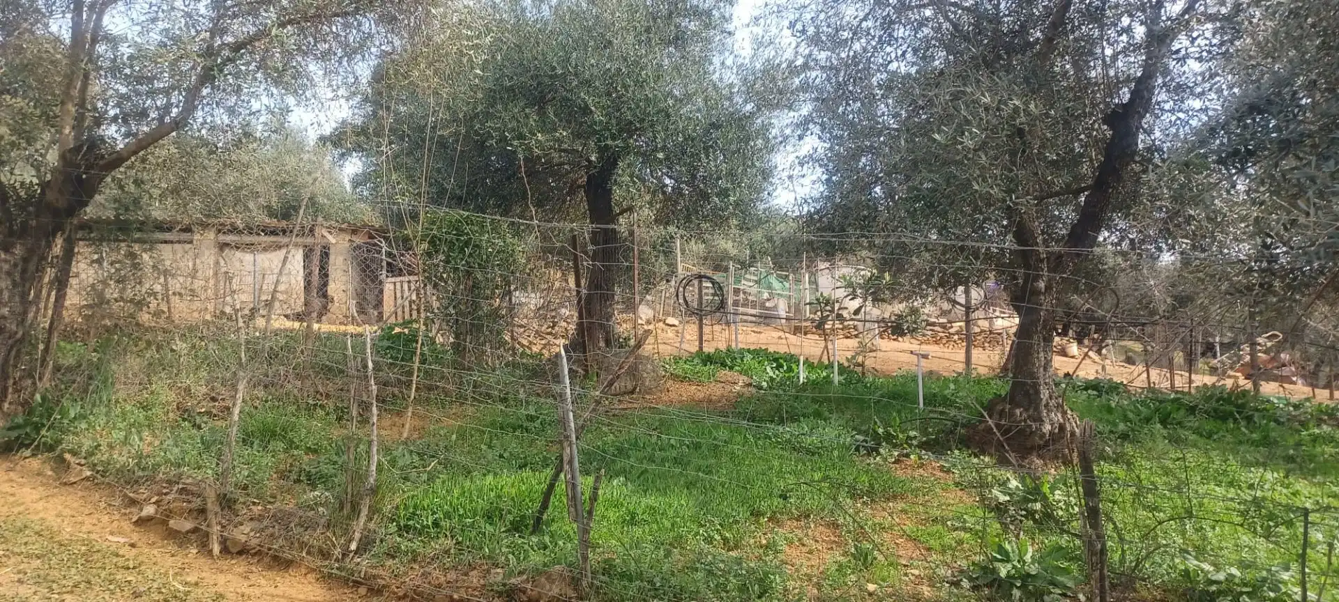 Terreni e lotti in vendita a Constantina, imagen 39
