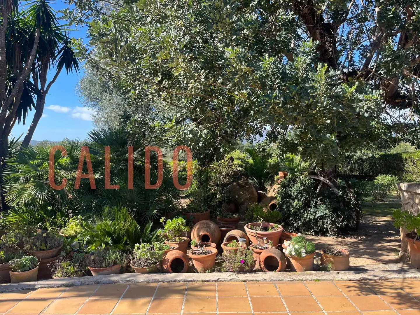 Country homes for sale in Calvià pueblo