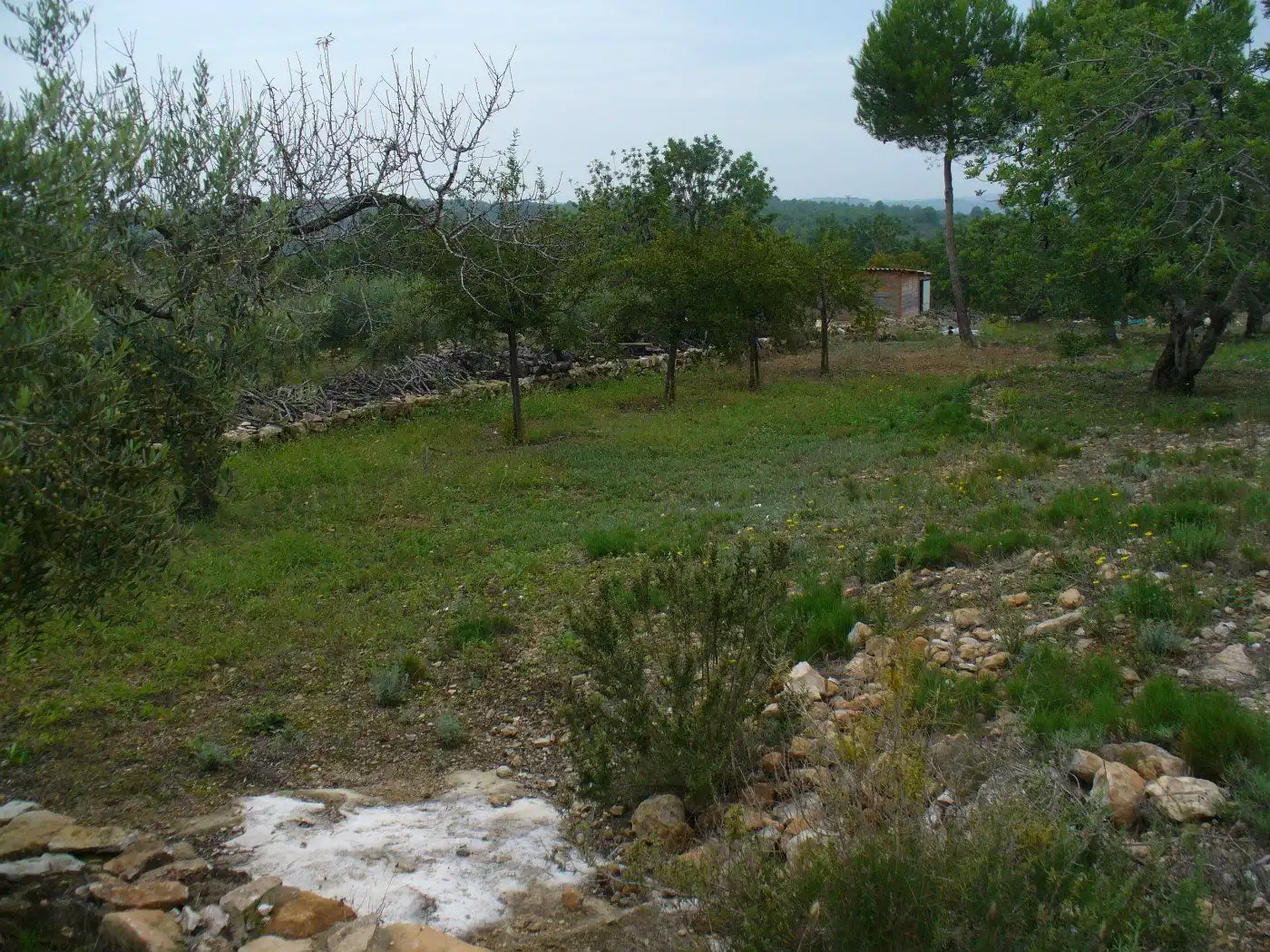 Residential for sale in La Pobla de Montornès  