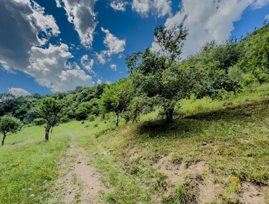Casa o chalet en venta en Pesaguero con Calefacción, Terraza y Amueblado