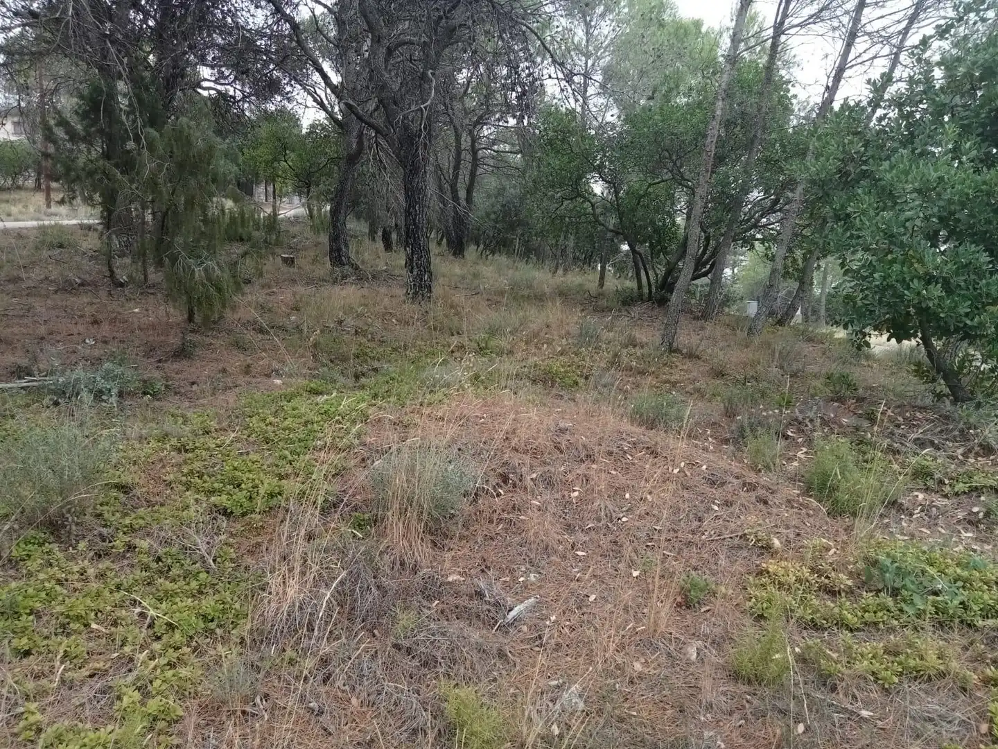 Wohnbaugrundstück zum Verkauf in Urbanizacion NUEVA SIERRA FZ, imagen 4