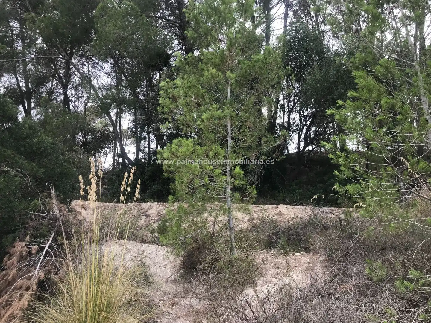 Finca rústica en venta en Maria de la Salut con Calefacción y Terraza