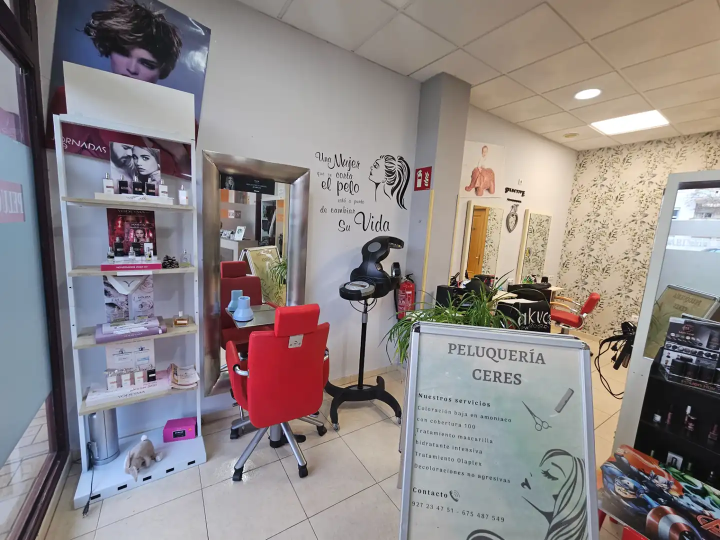 Local comercial en venda a Avenida Alfonso Diaz de Bustamante y Quijano, imagen 6