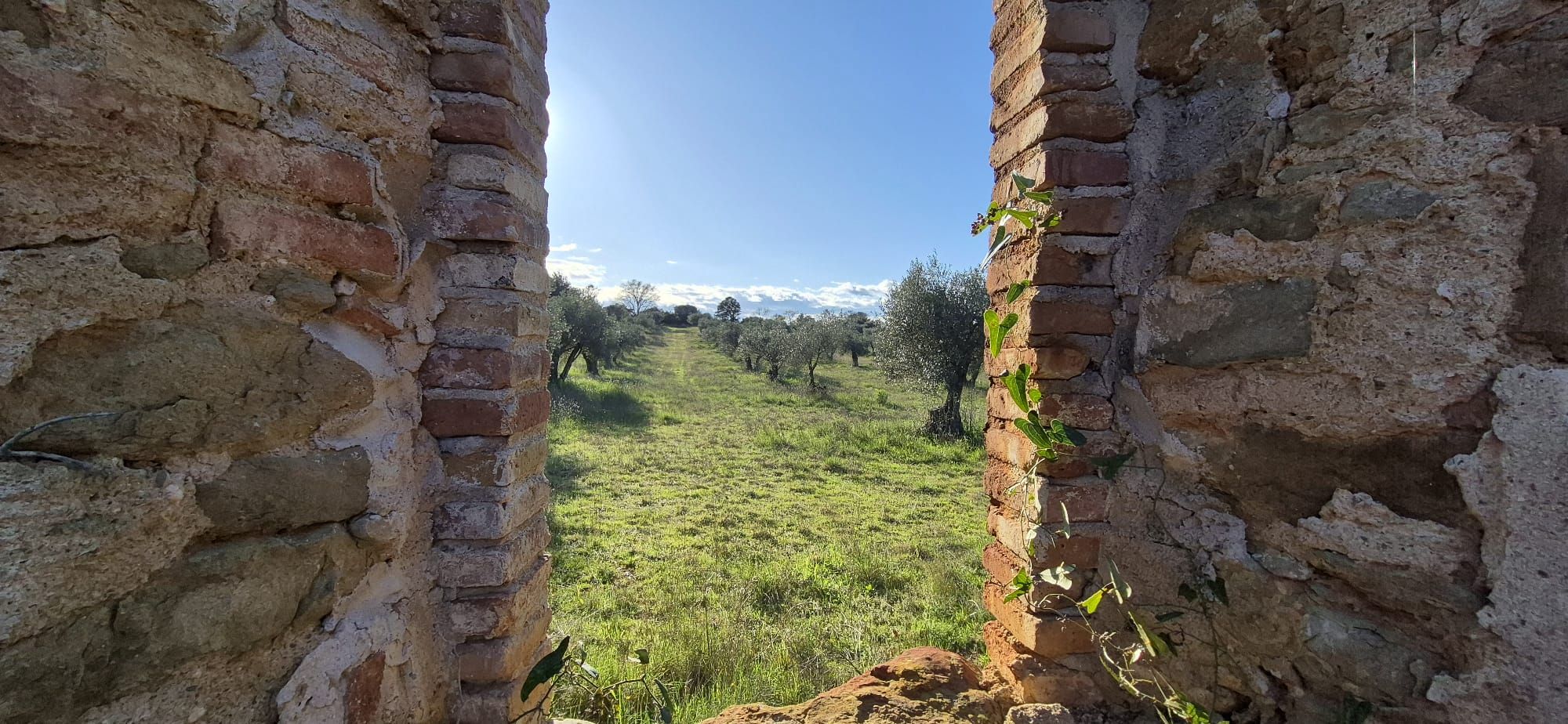 Residential for sale in Ullastret