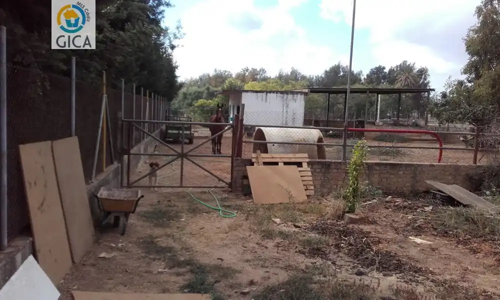 Garden of Houses for sale in Jerez de la Frontera  with Terrace, Swimming Pool and Alarm