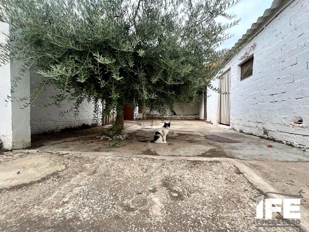 Jardí de Casa o xalet en venda en Torres de Berrellén amb Aire condicionat i Jardí privat