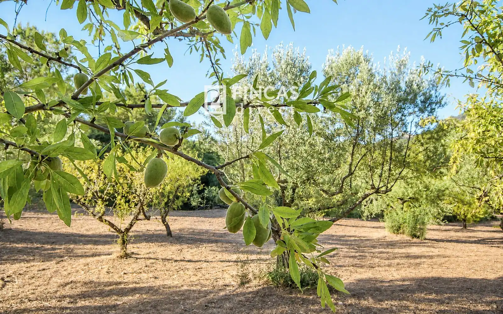 Finca rústica en venta en Benifallet con Calefacción, Trastero y Amueblado