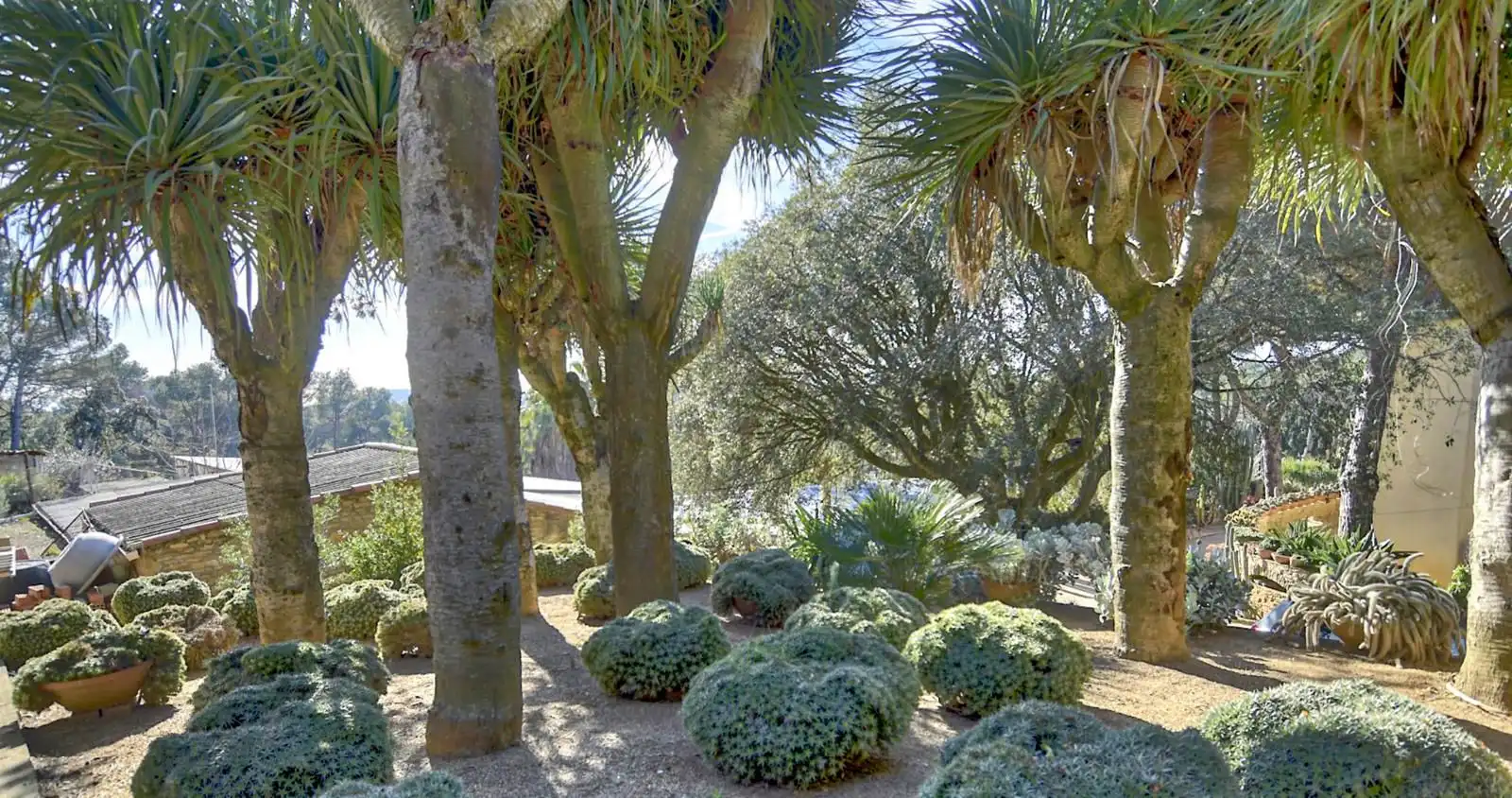 Maison à vendre à Residencial Begur - Esclanyà, imagen 16