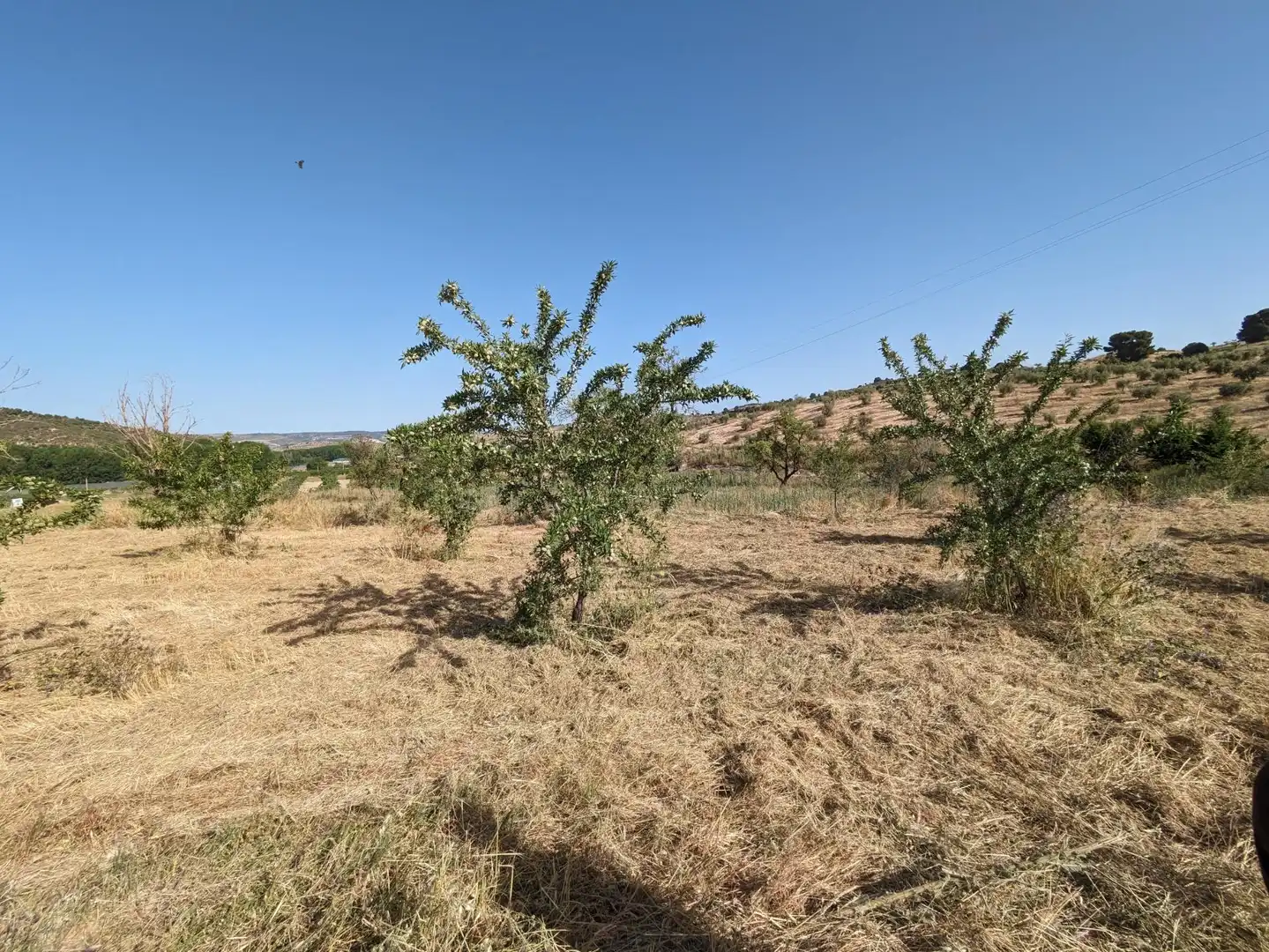 Residential land for sale in EXTRARRADIO, imagen 7