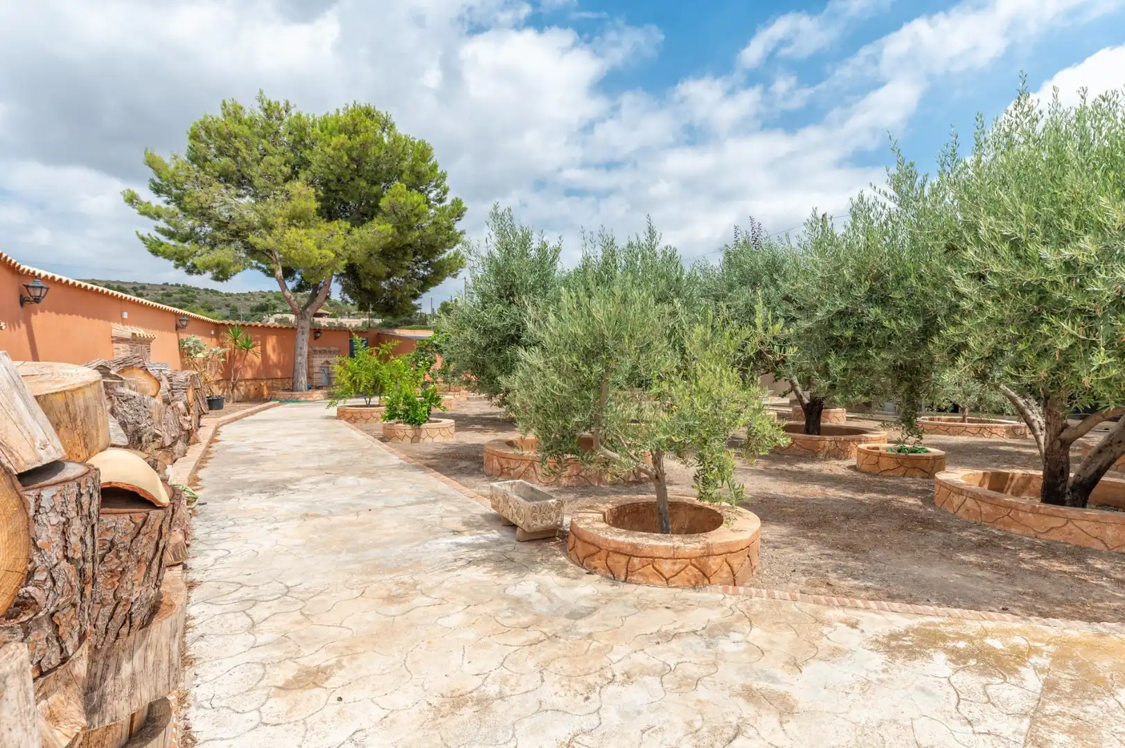 Jardí de Casa o xalet en venda en Elche / Elx amb Aire condicionat, Calefacció i Jardí privat