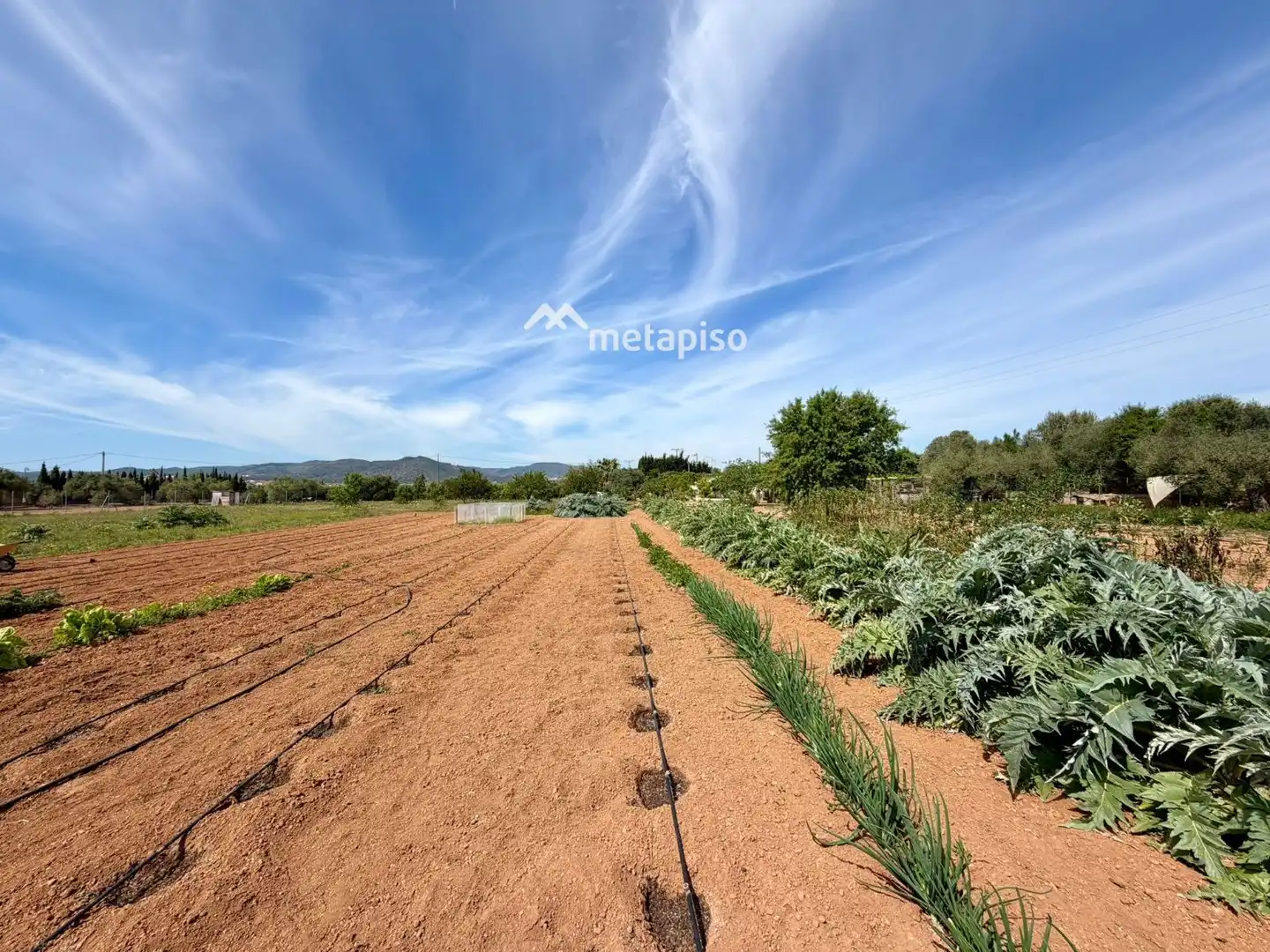 Terreno rustico in vendita a Santa Oliva