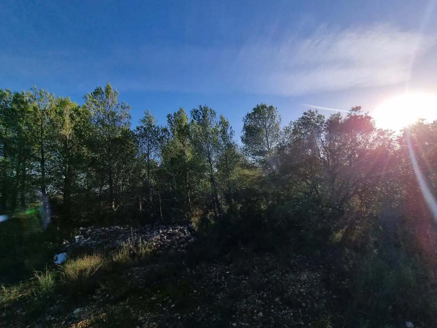 Terreno rústico en venta en Avenida Camí de l'Ametlla de Mar al Perelló, imagen 5