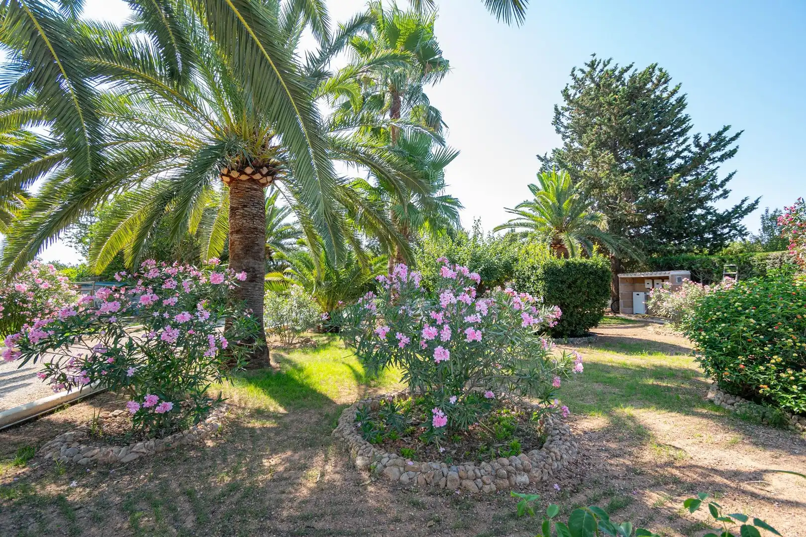 Country house with pool for sale in Binissalem, imagen 57