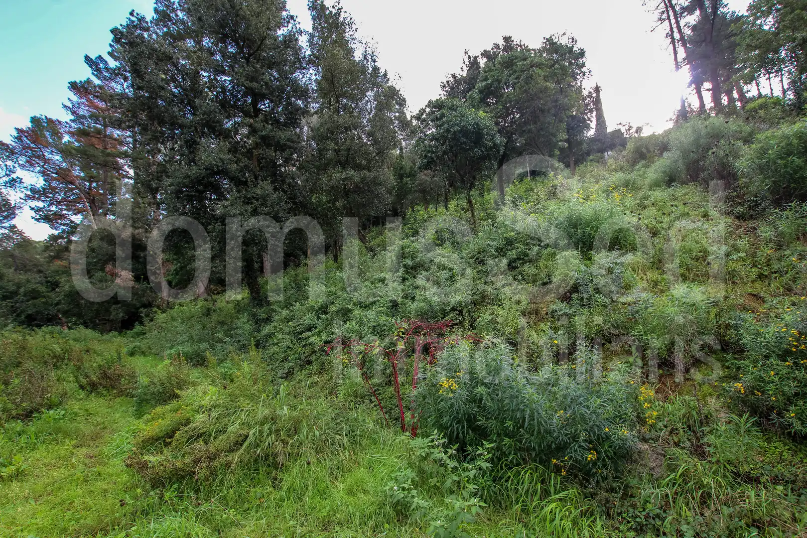 Wohnbaugrundstück zum Verkauf in Vallromanes, imagen 9