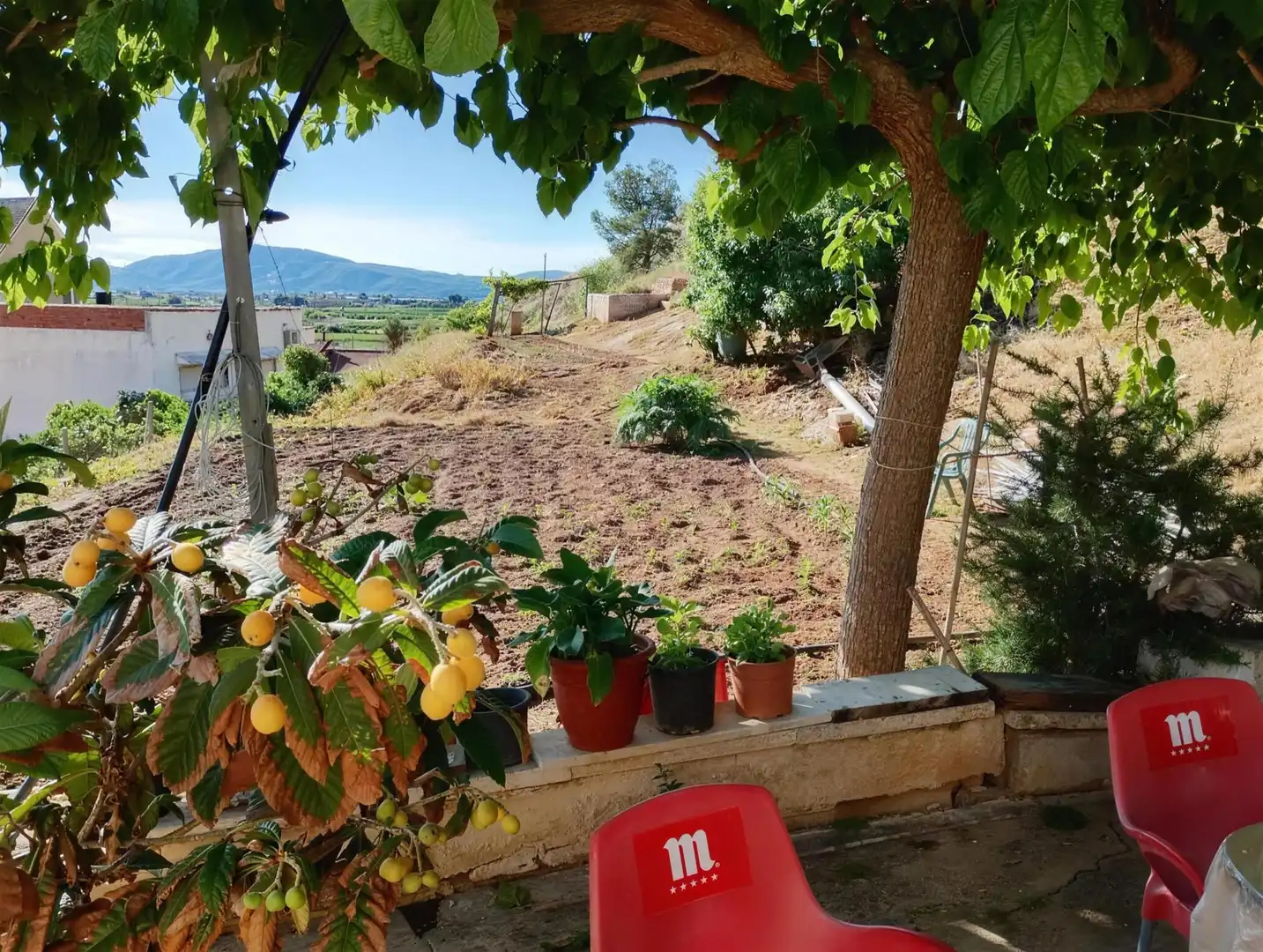 Jardín de Casa adosada en venta en Orihuela