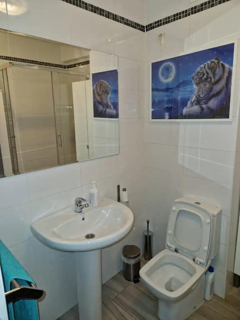 Baño de Piso de alquiler en San Juan de Aznalfarache con Aire acondicionado y Amueblado
