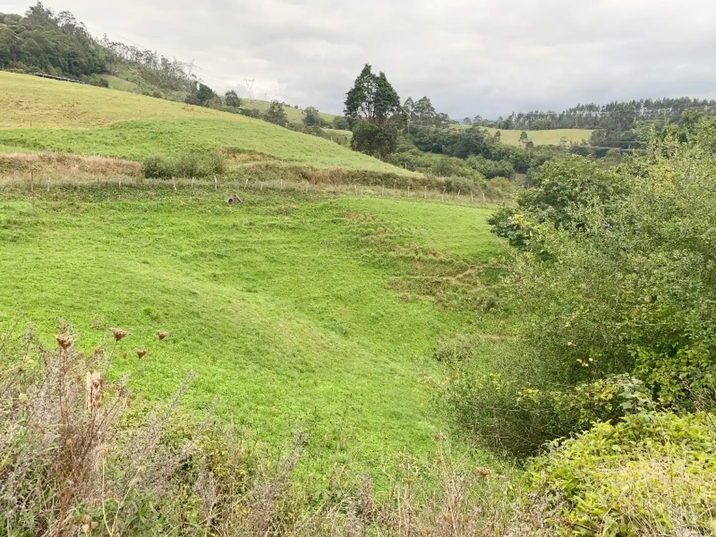 Terreno en venta en Udías