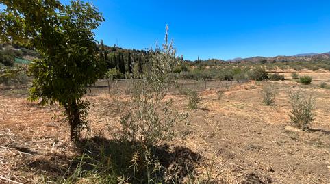 Photo 4 of Country house for sale in Calle las Calzadas, Coín, Málaga