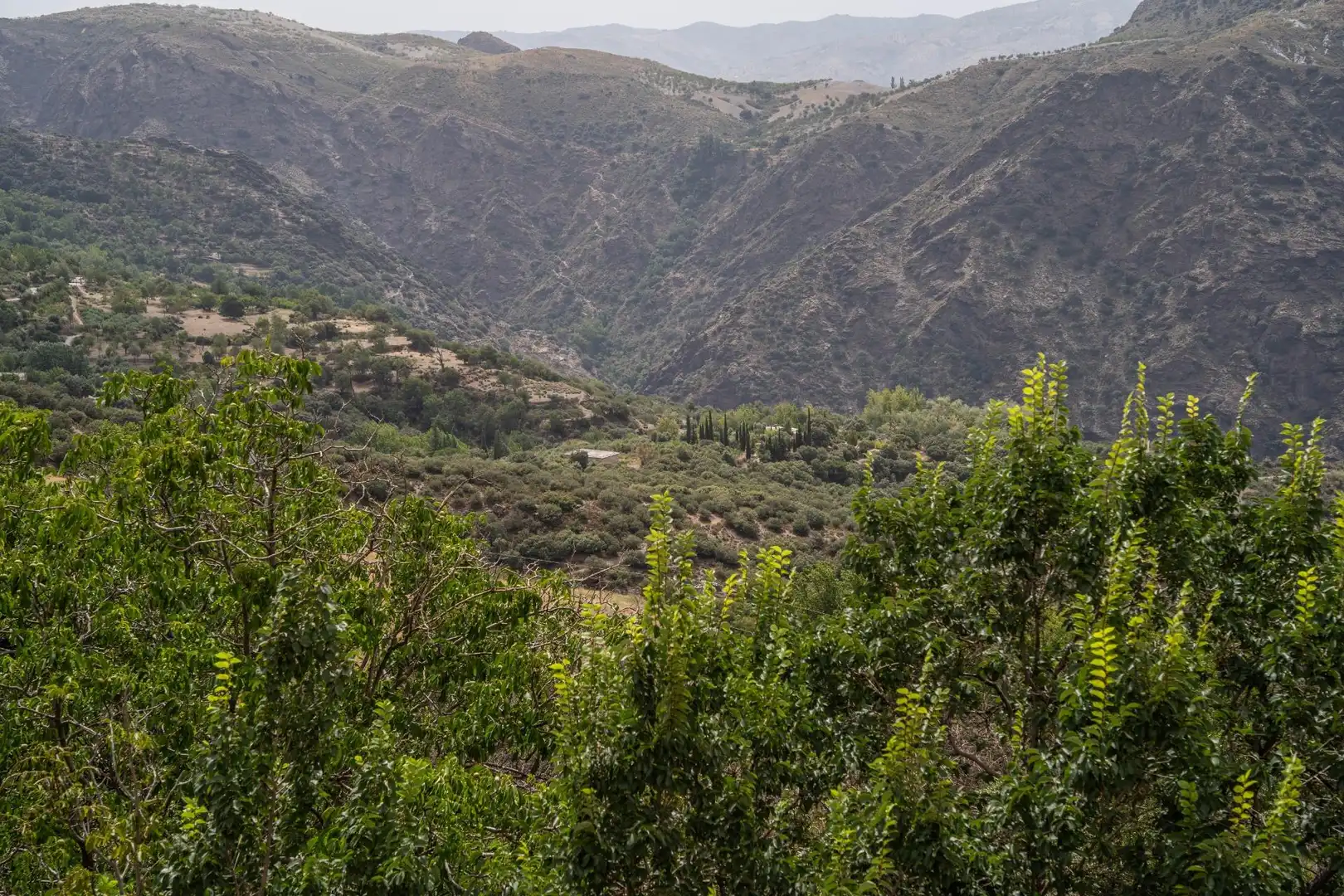 Vista exterior de Casa o xalet en venda en La Taha amb Traster