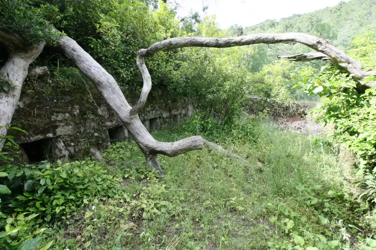 Garten von Country house zum Verkauf in Arenas de San Pedro mit Heizung, Privatgarten und Terrasse