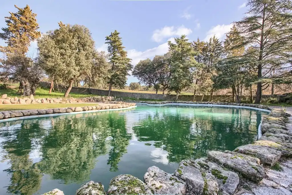 Piscina de Casa o chalet en venta en Colmenar del Arroyo