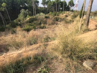 Residential land for sale in Calle B Cerdera Alta