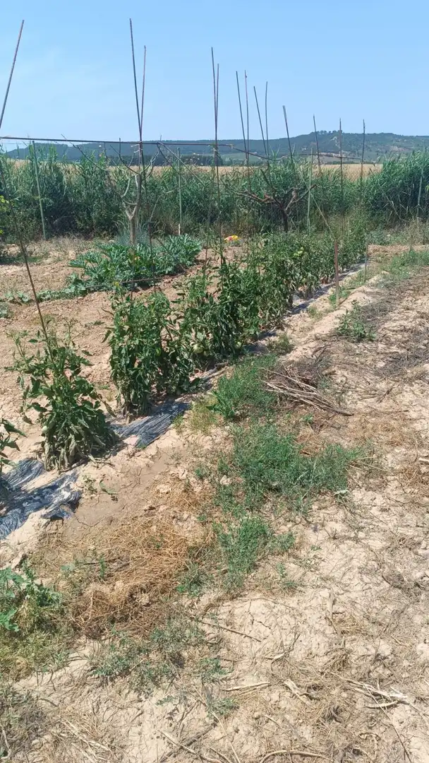 Casa o xalet en venda en  Logroño amb Calefacció i Traster