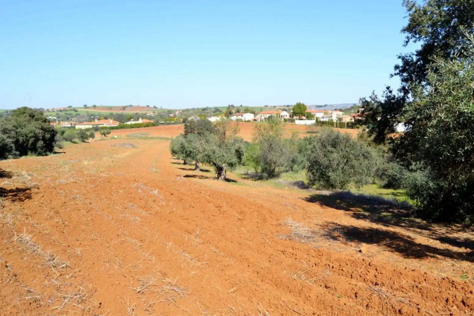 Terreni e lotti in vendita a Don Álvaro, imagen 3