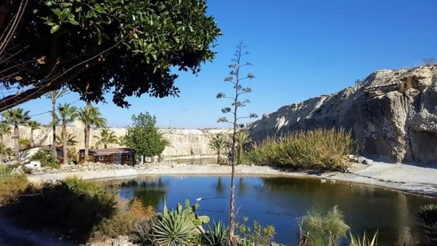 Chalet con piscina en venta en Calle Hernández, imagen 21