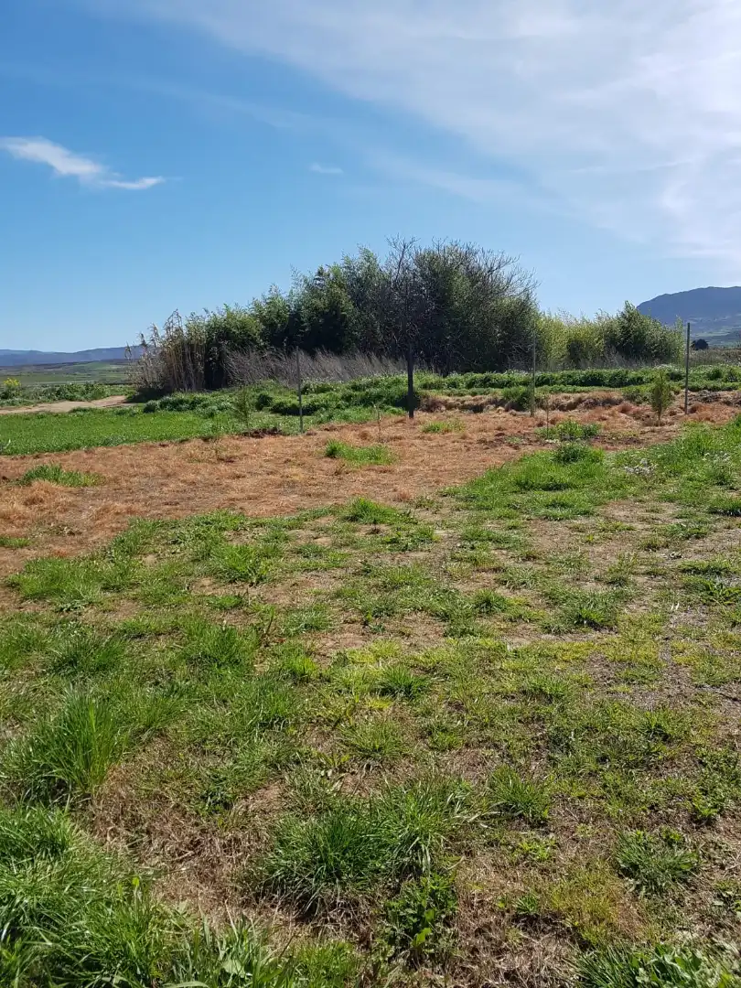 Terreno rústico en venta en Villamediana de Iregua, imagen 7