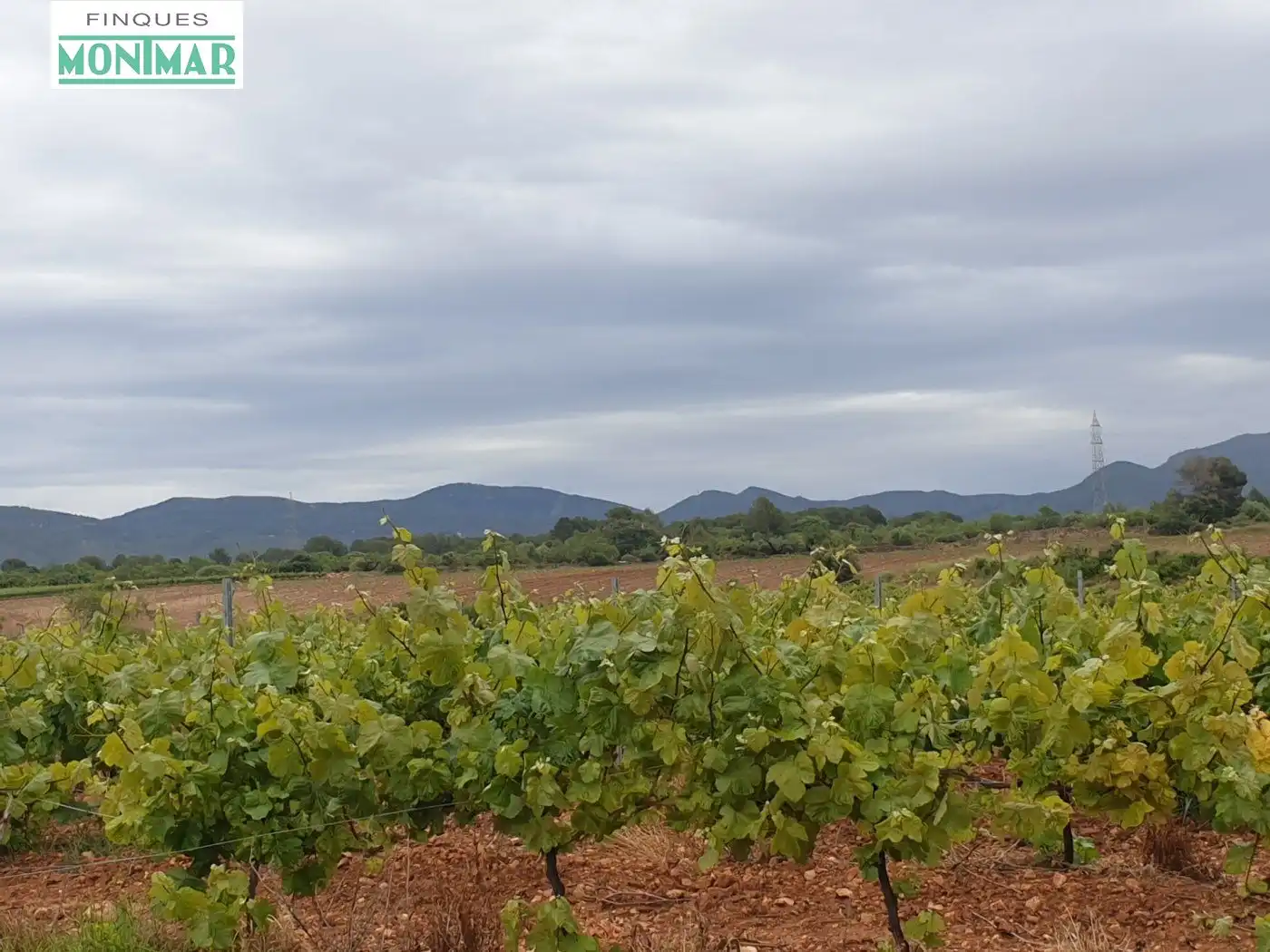 Finca rústica en venda en El Pla de Santa Maria