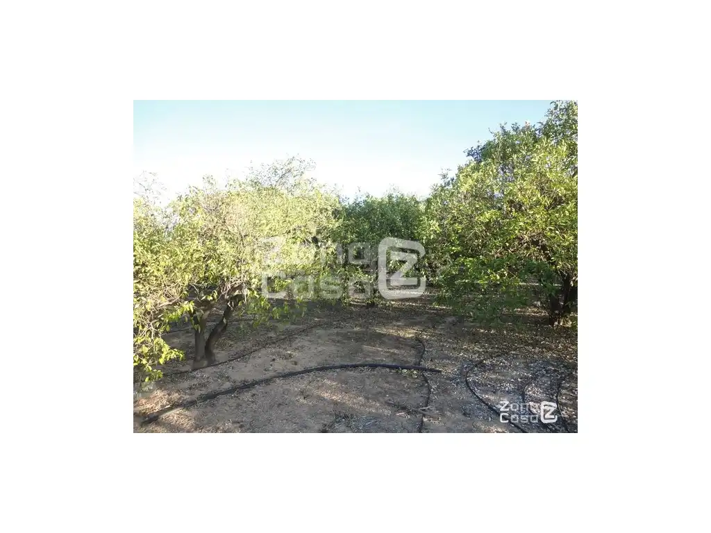 Finca rústica en venda en Benimuslem, Valencia