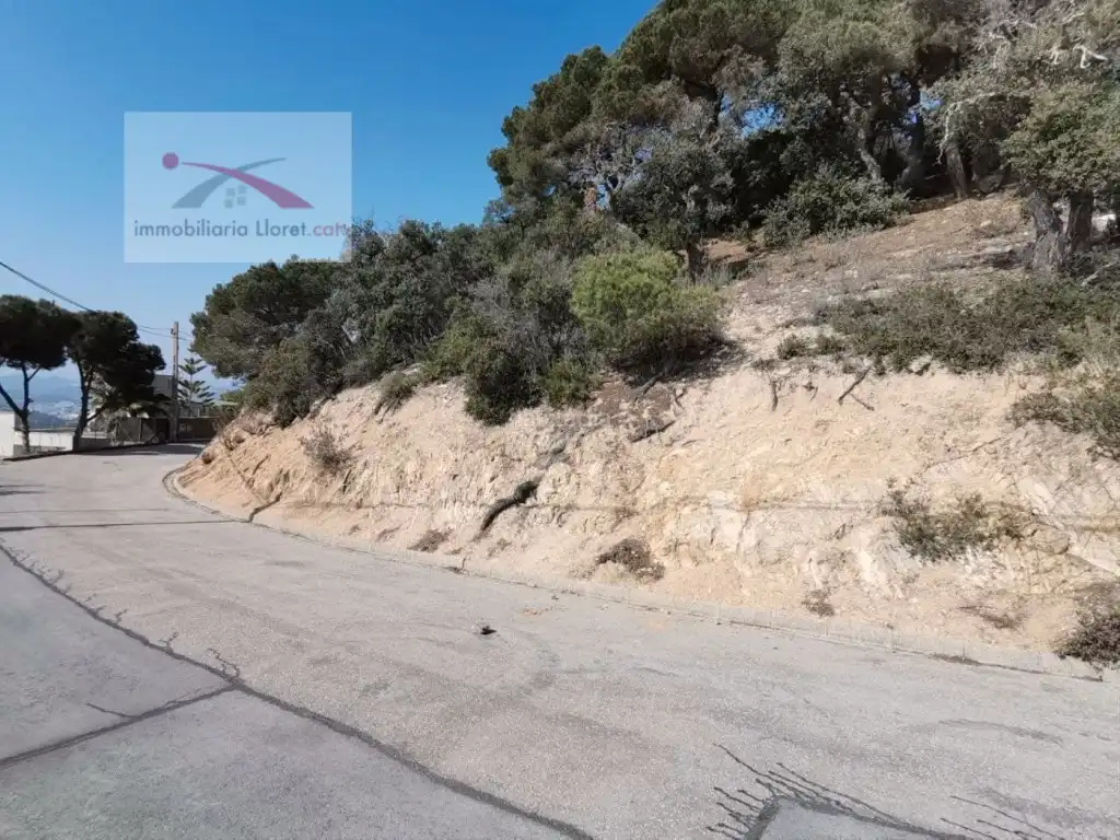 Wohnbaugrundstück zum Verkauf in Carrer Versalles 83, imagen 8