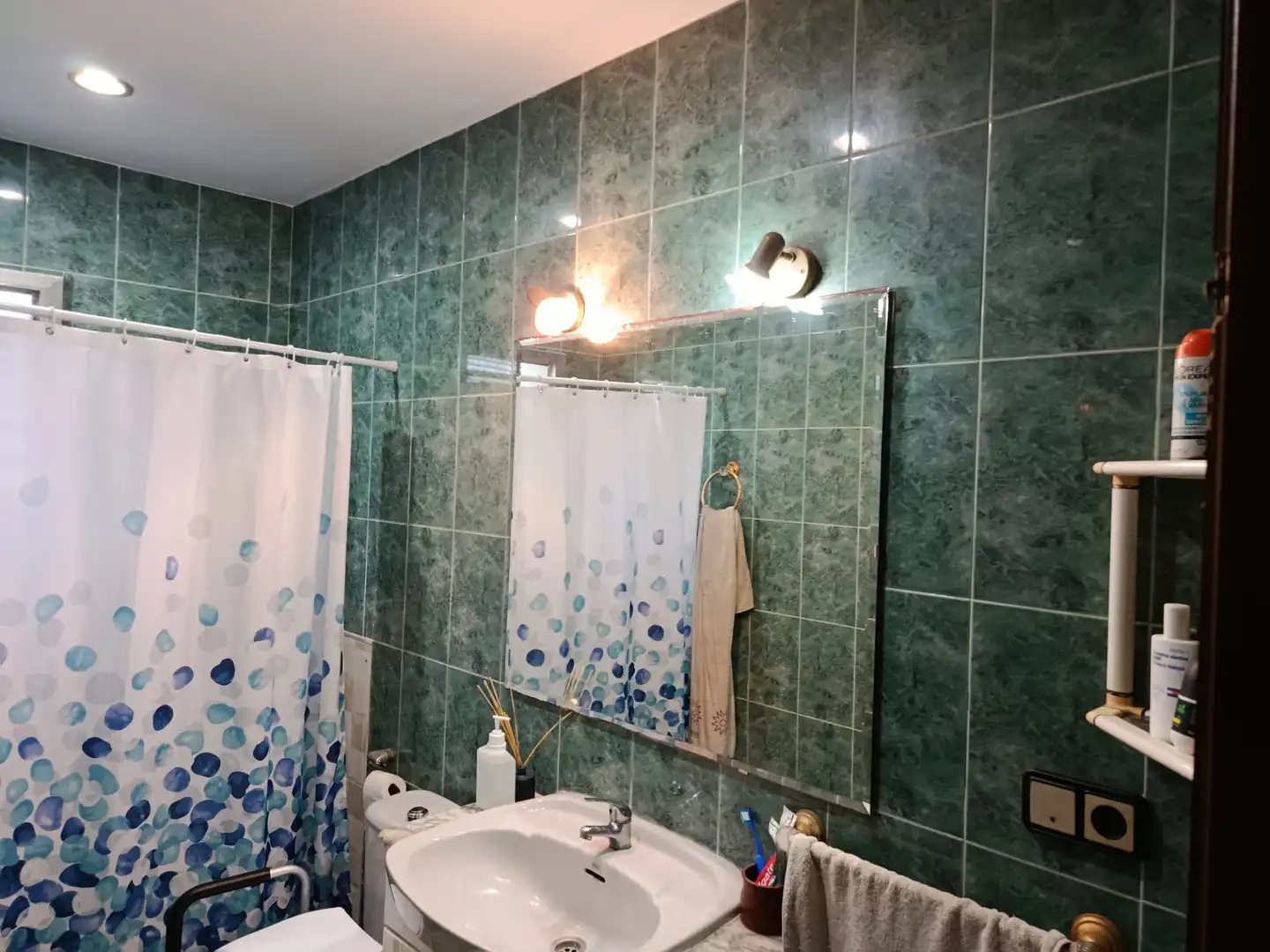 Baño de Casa o chalet en venta en Torrent con Aire acondicionado, Calefacción y Jardín privado