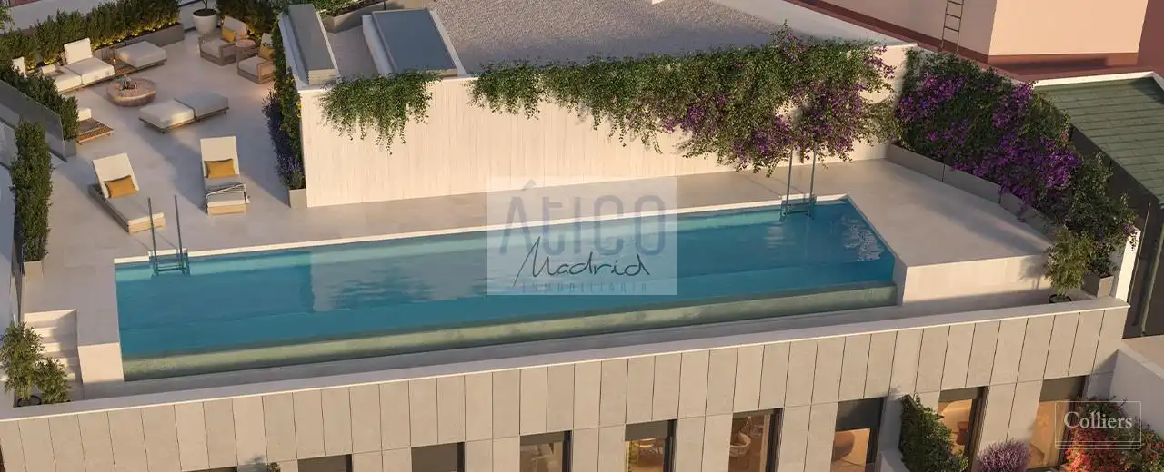 Penthouse with pool for sale in San Bernardo, imagen 4