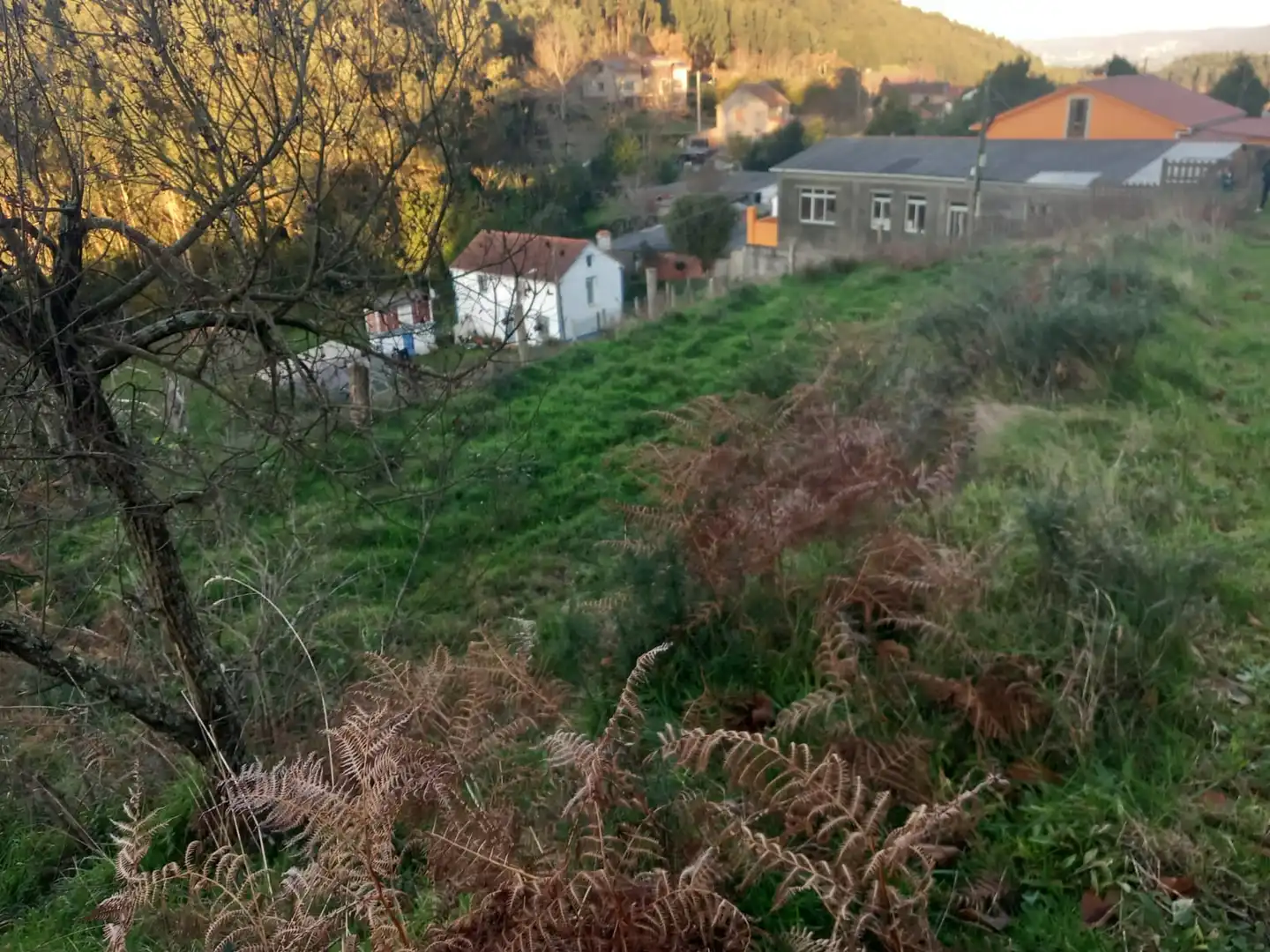 Terreno residenziale in vendita a Área Rural, imagen 5