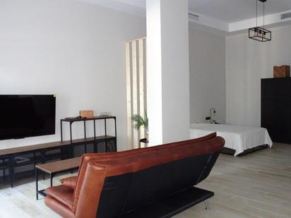 Living room of Study for sale in  Sevilla Capital  with Air Conditioner, Private garden and Terrace