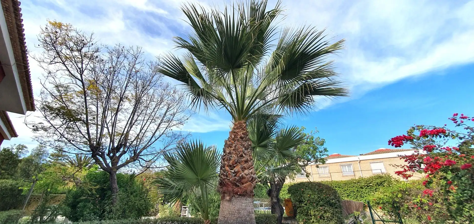 Vista exterior de Casa o xalet en venda en Sant Joan d'Alacant amb Aire condicionat, Calefacció i Jardí privat
