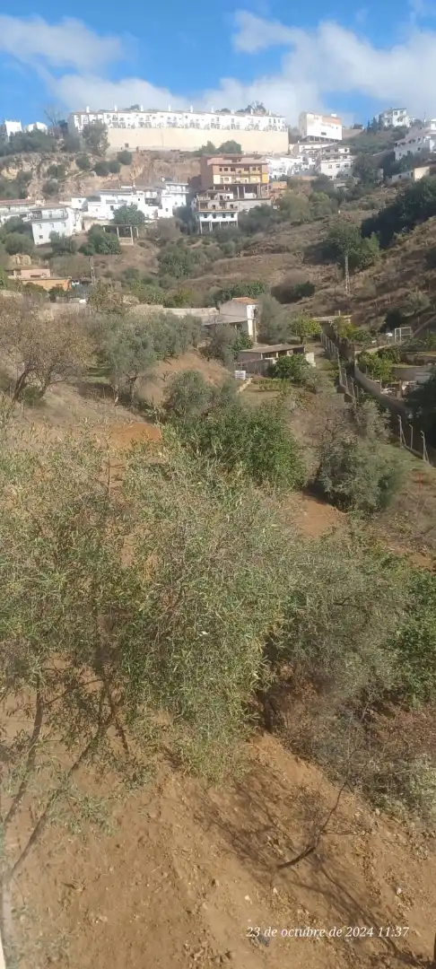 Finca rústica en venda a Calle Carril, Almogía