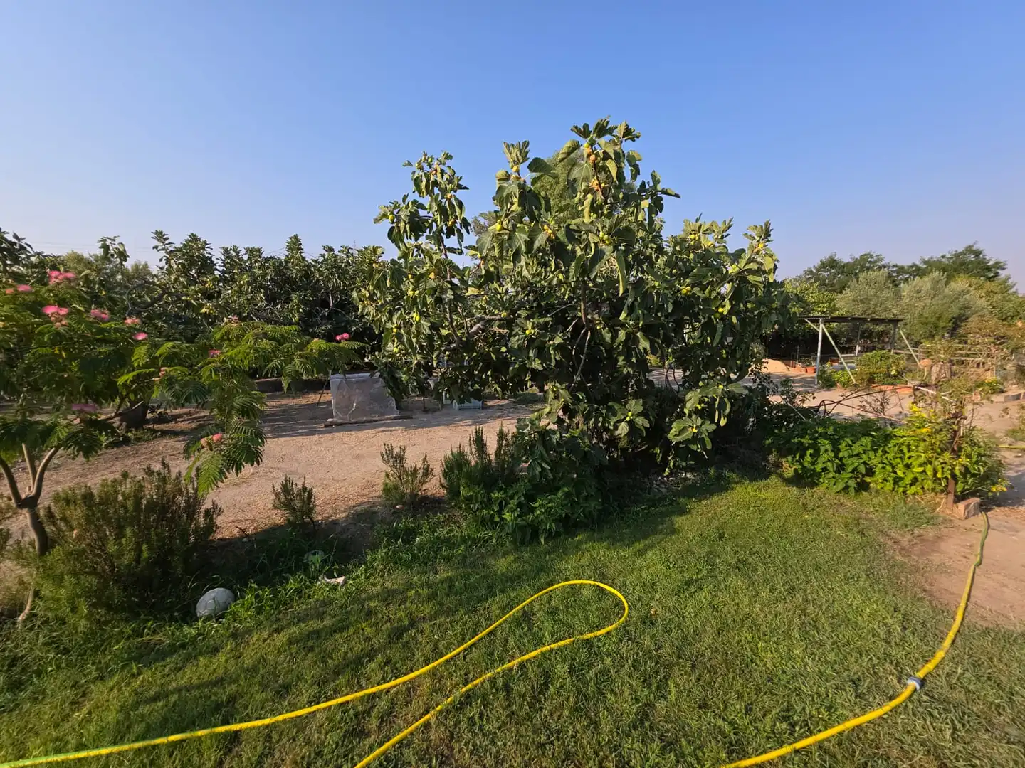 Finca rústica en venda en Talavera de la Reina amb Jardí privat