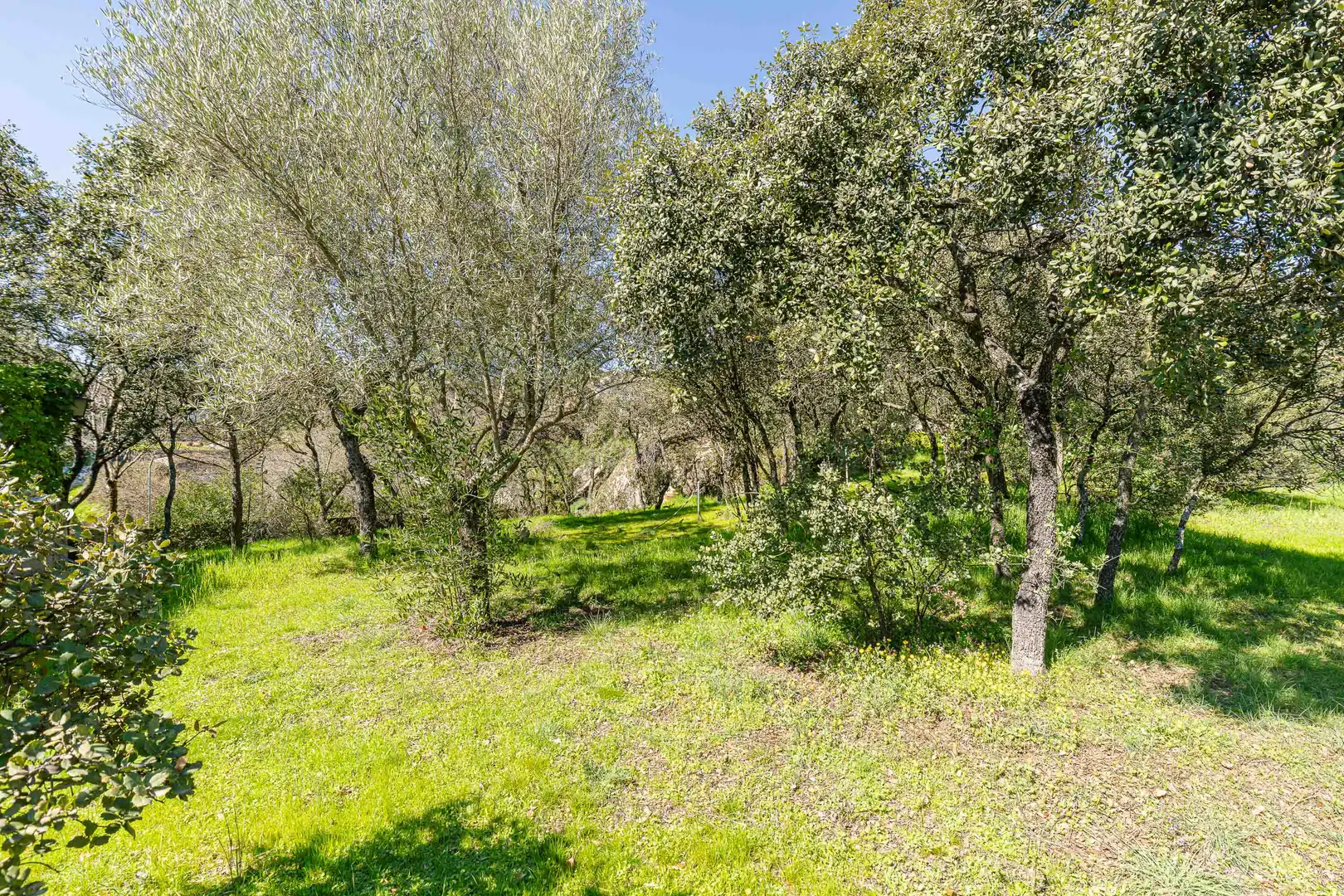 Residencial en venda en Torrelodones