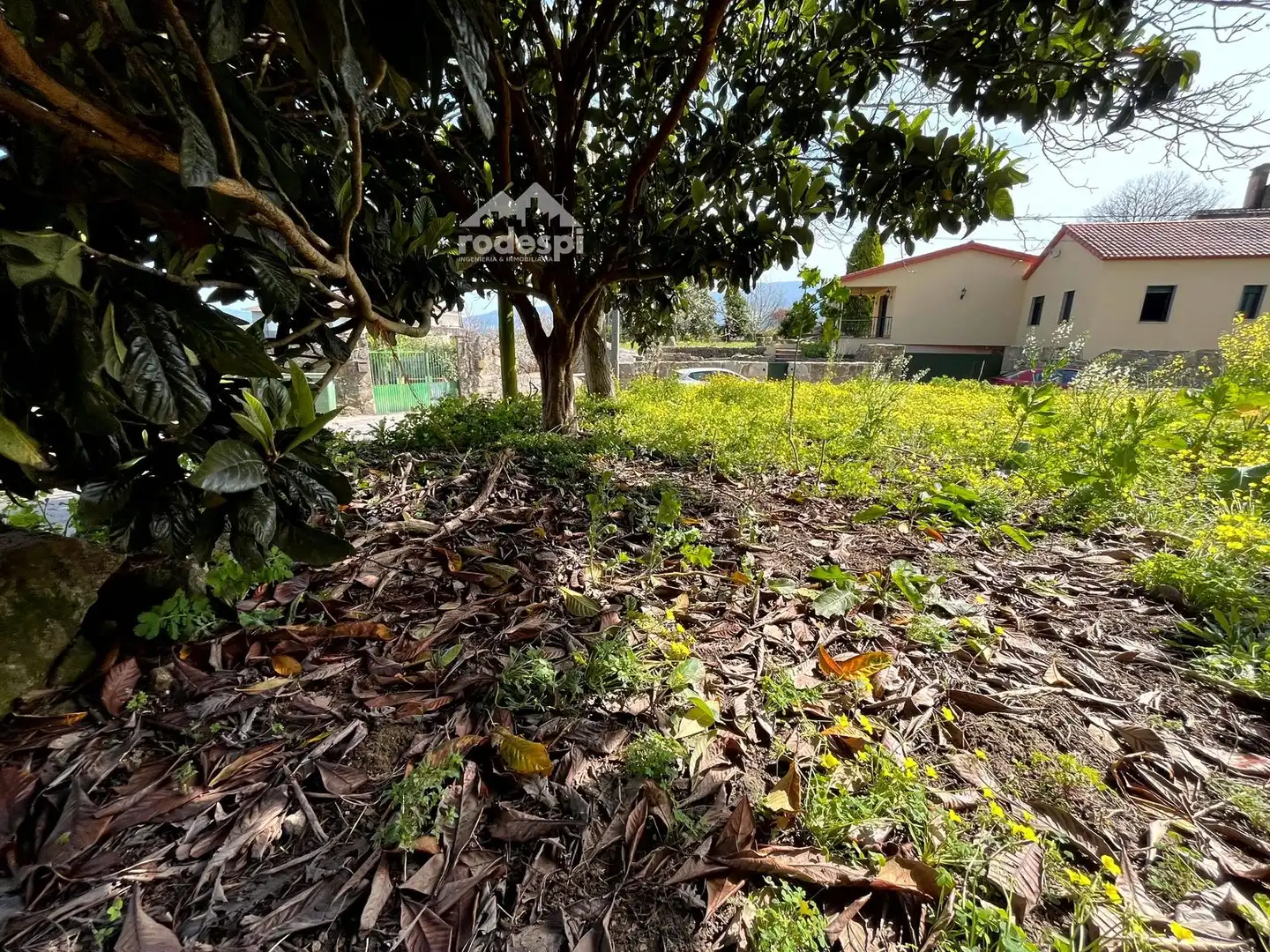 Rural land for sale in Arbo, imagen 9