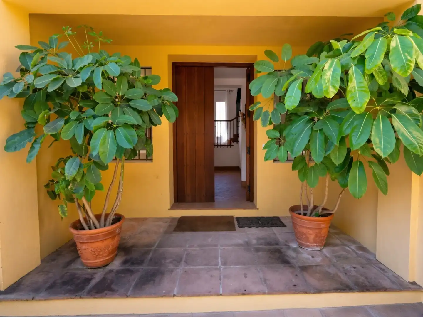 Casa con terraza en venta en Puerto de Sotogrande - La Marina, imagen 2