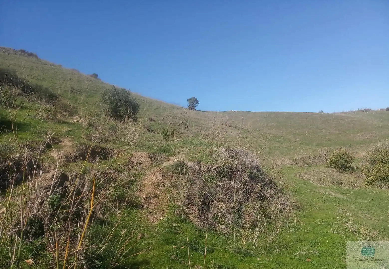 Finca rústica en venda en Mijas