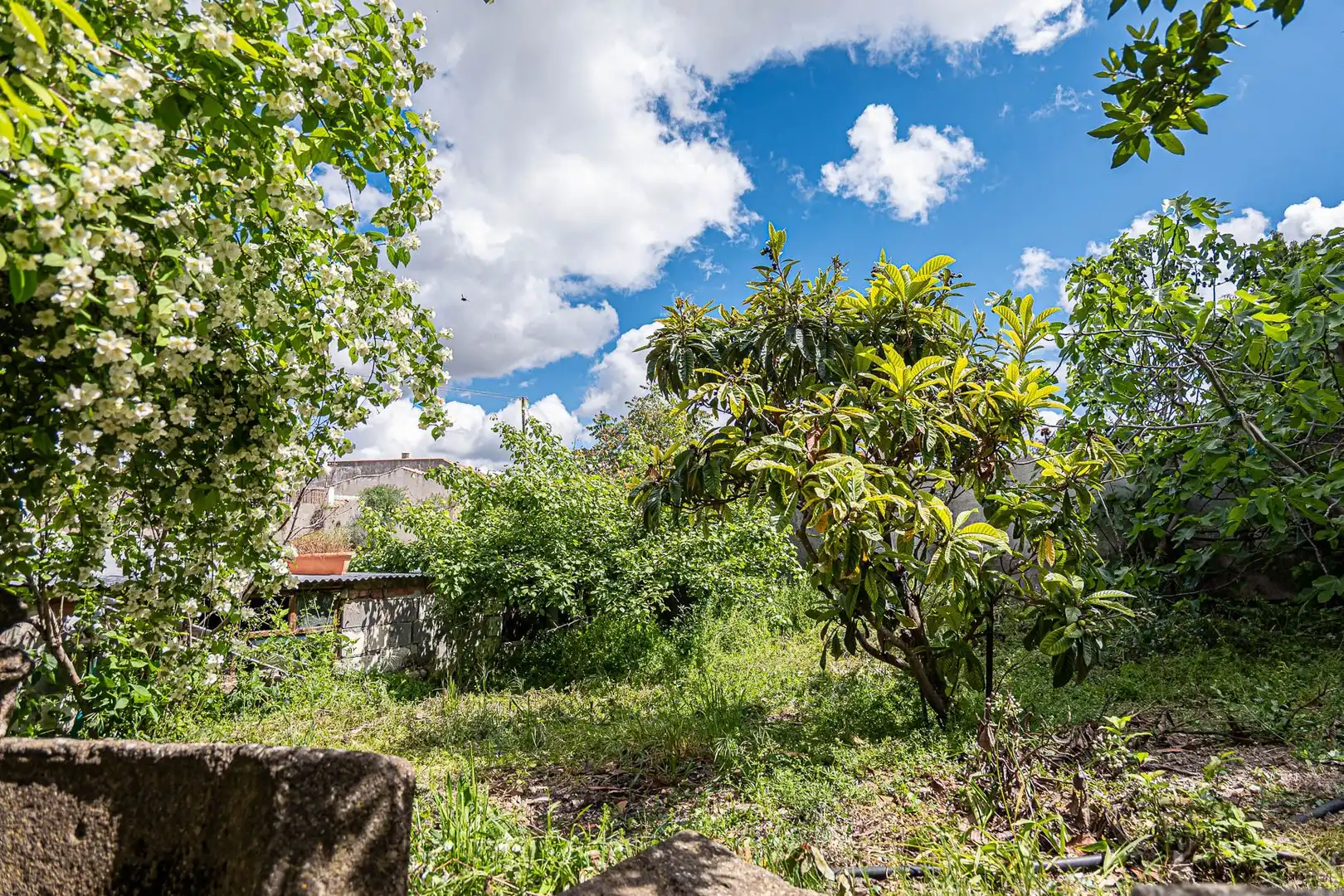 Casa rústica amb jardí en venda a Calle Real, imagen 34