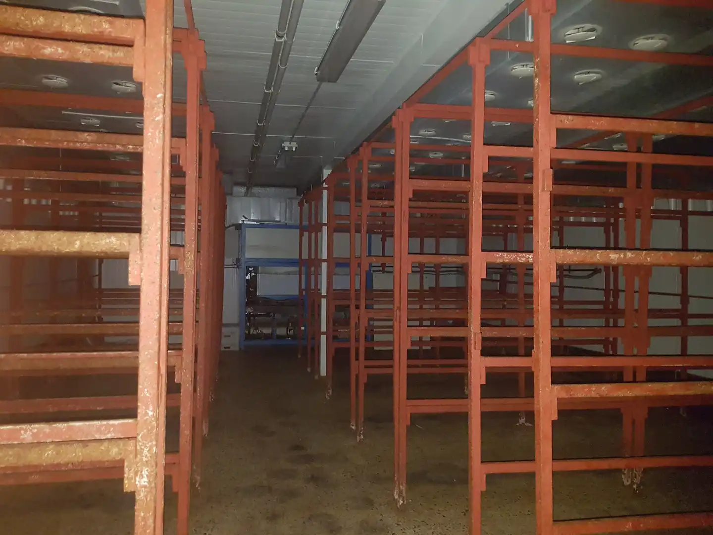Fabrikhallen zur Miete in Quintana Redonda